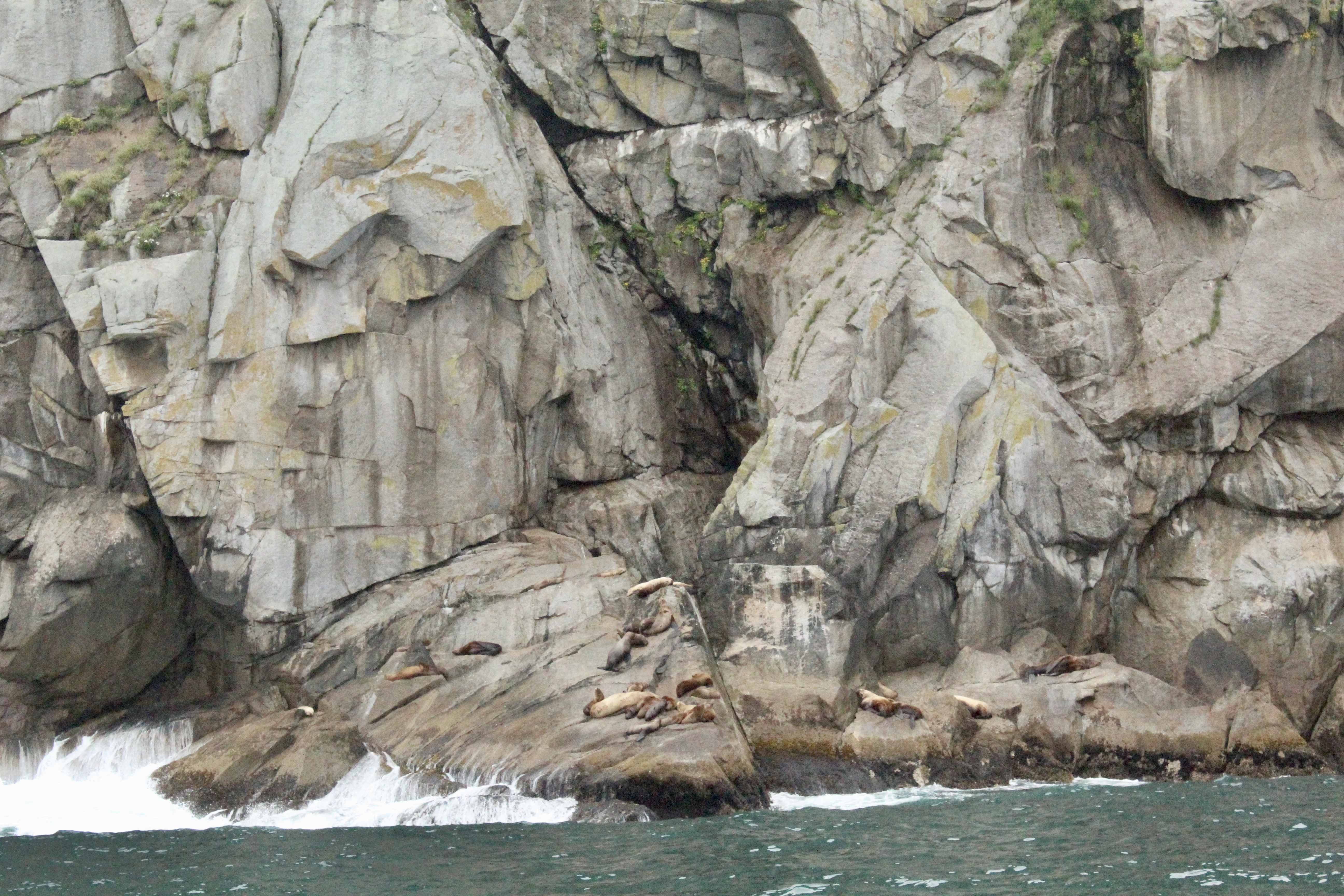 Seals